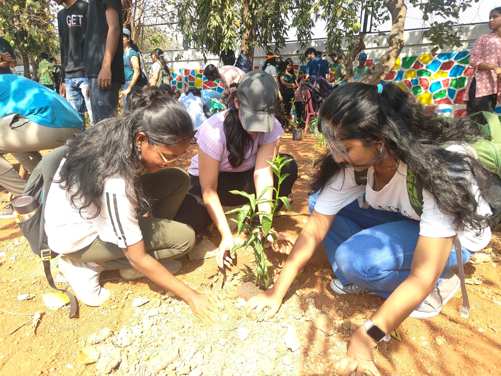 Urban Greening Approaches - YUVA HDFC Bank Partnership